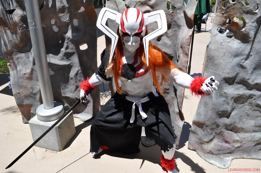 Cosplayer Interviews – Living Ichigo